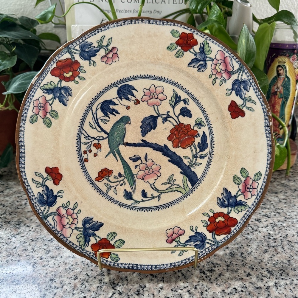 Booths Silicon China Floral With Green Parrot Bird 10.5" Plate 1900’s